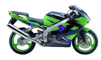 Verkleidung Ninja ZX9R 2002-2003