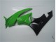 Grün Schwarz Kawasaki ZX6R 2009-2012 Motorrad Vollverkleidung