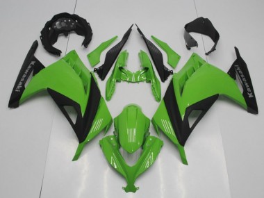 OEM Stil Grün Kawasaki ZX 300R 2013-2016 Motorrad Verkleidungen